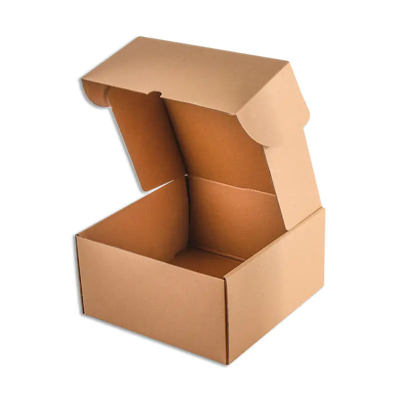 Opened brown kraft corrugated postal box