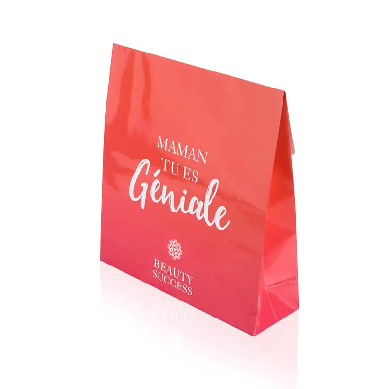 Gloss laminated red couche paper gift bag that says géniale